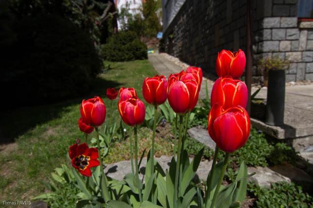 Pension Apartment Granit Praha Rom bilde